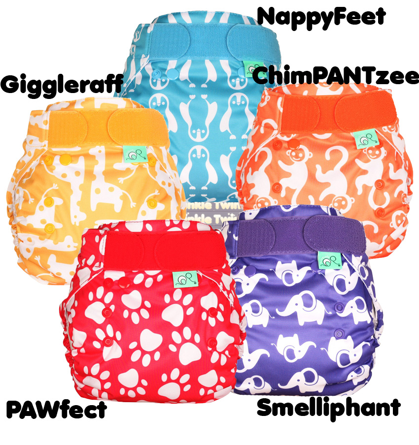 Tots Bots EasyFit Star Matchy Matchy Prints